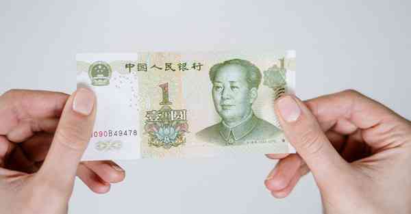 新界ssr的新官网