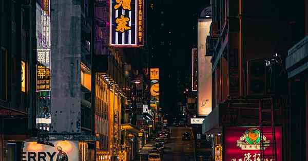 梯子 PC 推荐